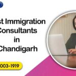Best Immigration Consultants in Chandigarh