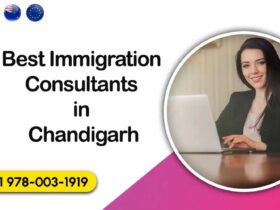 Best Immigration Consultants in Chandigarh
