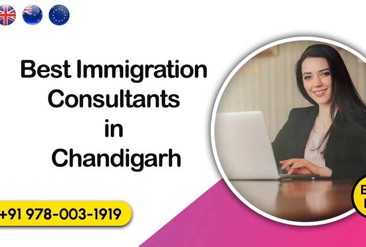 Best Immigration Consultants in Chandigarh