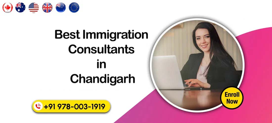 Best Immigration Consultants in Chandigarh